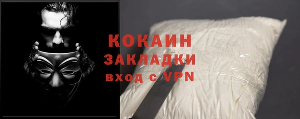 крисы Алзамай