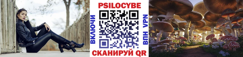 дарнет шоп  Любань  Псилоцибиновые грибы Psilocybine cubensis 
