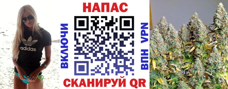 Конопля план Любань